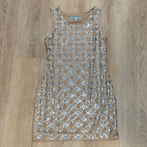 Francesca's Collections Silver and Tan Mini Dress